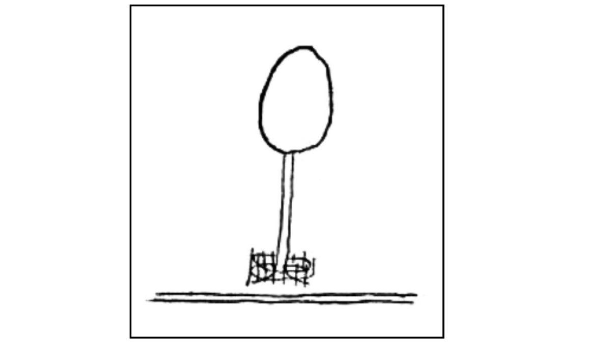 Kalem, Kâğıdı Hazırlayın: Çizeceğiniz Tek Bir Ağaç Resmini Yorumlayarak Kendinizle Yüzleşmenizi Sağlayan Psikoloji Testi