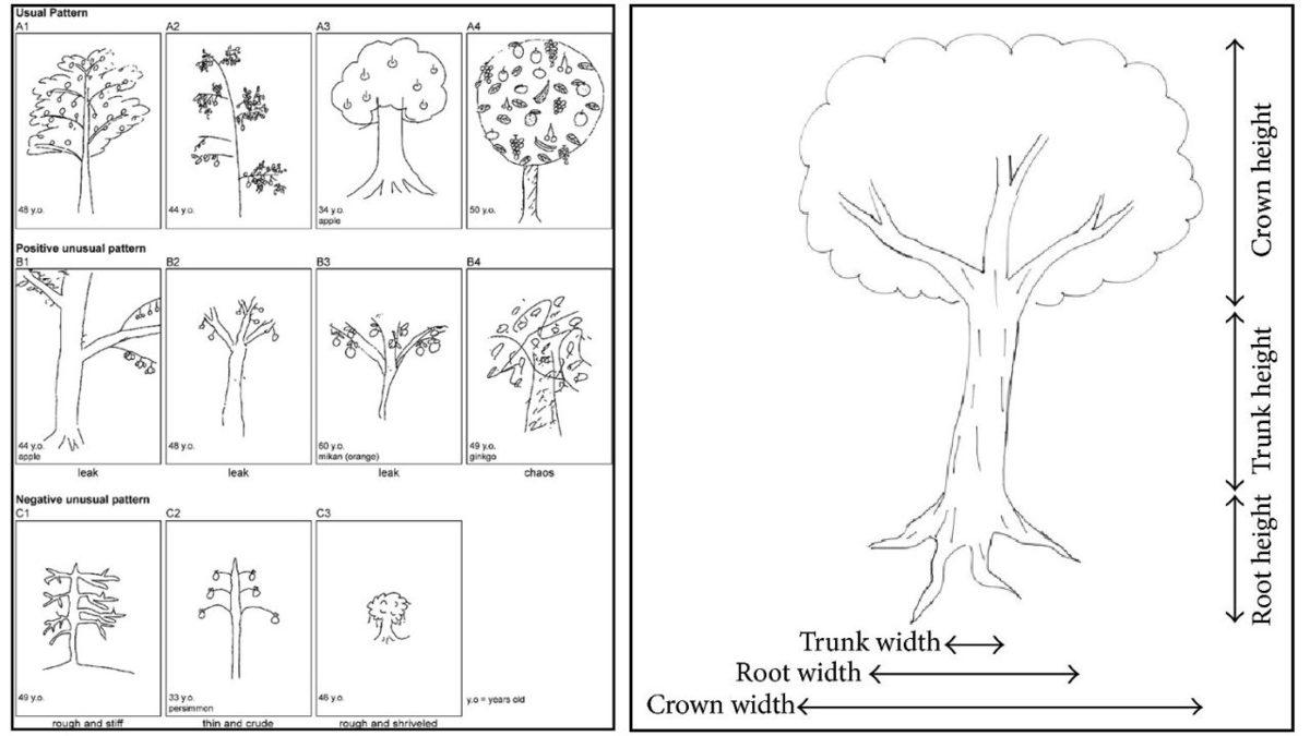 Kalem, Kâğıdı Hazırlayın: Çizeceğiniz Tek Bir Ağaç Resmini Yorumlayarak Kendinizle Yüzleşmenizi Sağlayan Psikoloji Testi