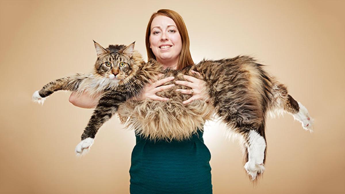 Guinness Rekorlar Kitabı’nın Ortaya Çıkış Hikayesini Biliyor musunuz?