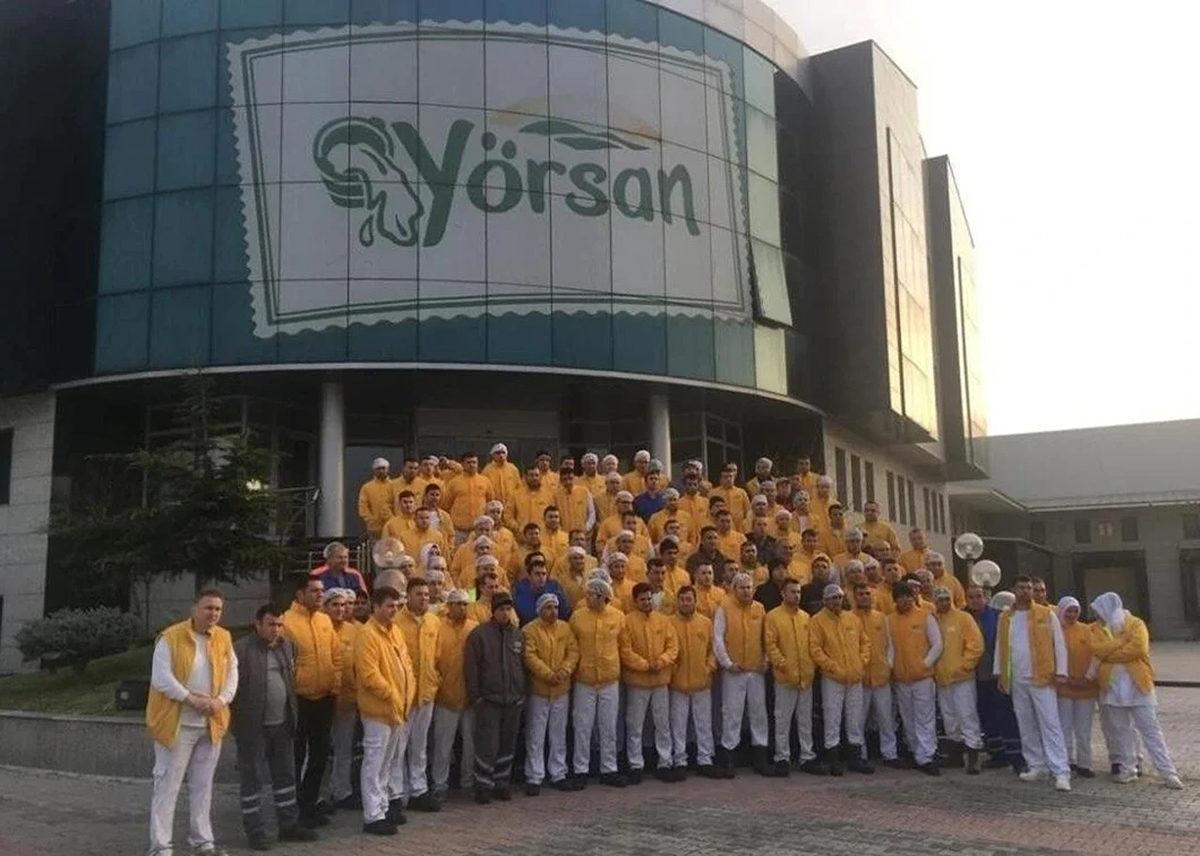 Yörsan, Türkiye’nin İlk Beyaz Peynir Fabrikasını Kuran Köklü Bir Markayken Nasıl Birdenbire Piyasadan Silindi?