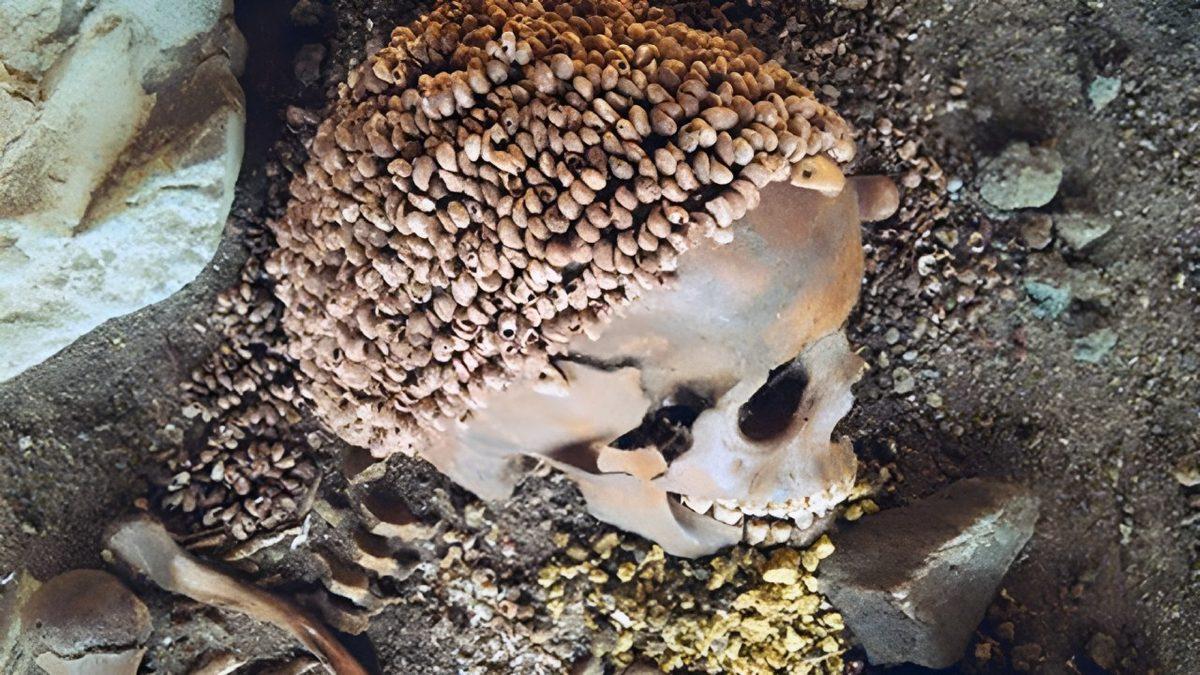 Bir Mağaradaki Arkeolojik Kazıda Çıkarılan Bu Kafatasının Üzerindeki Tuhaf Şeyler Neyin Nesi?