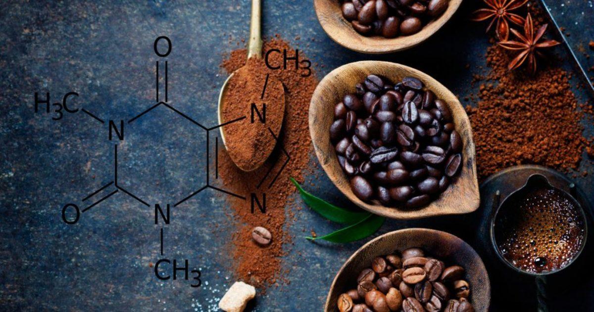 Kafeinin Öğrenme Üzerindeki Etkisi Düşünülenden Farklı Çıktı
