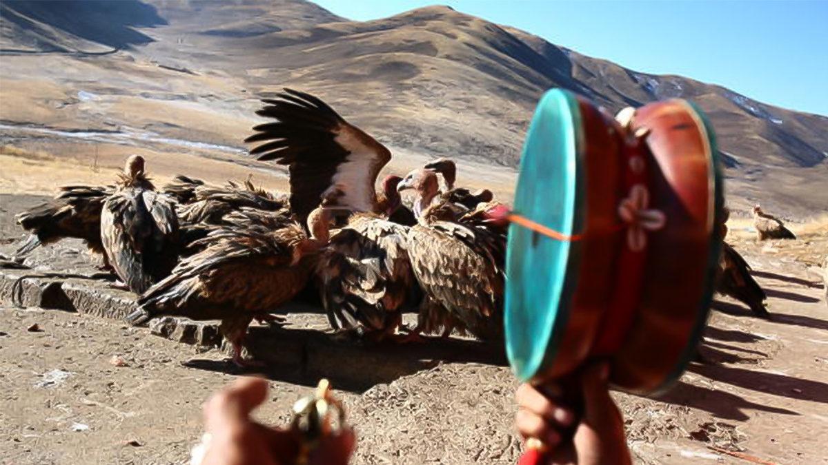 Ölen İnsanların Kemiklerine Kadar Akbabalara Yem Edildiği Tüyler Ürperten Tibet Cenaze Törenleri (18+)