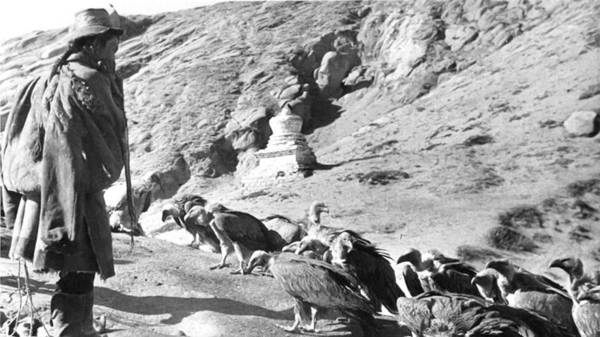 Ölen İnsanların Kemiklerine Kadar Akbabalara Yem Edildiği Tüyler Ürperten Tibet Cenaze Törenleri (18+)