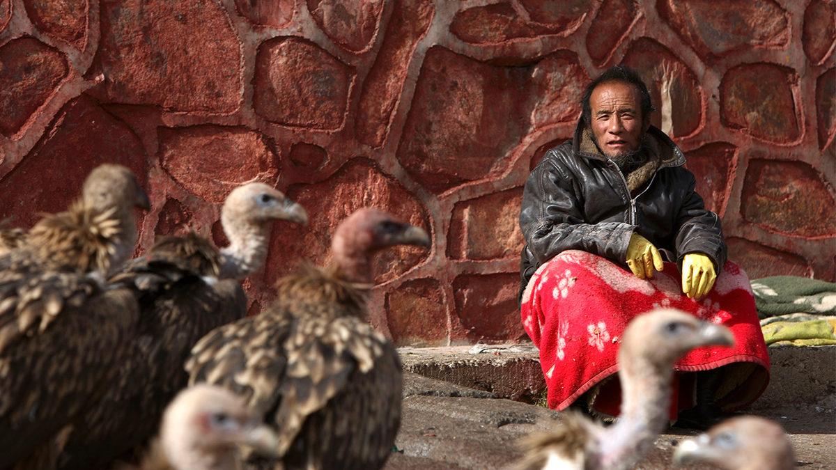 Ölen İnsanların Kemiklerine Kadar Akbabalara Yem Edildiği Tüyler Ürperten Tibet Cenaze Törenleri (18+)