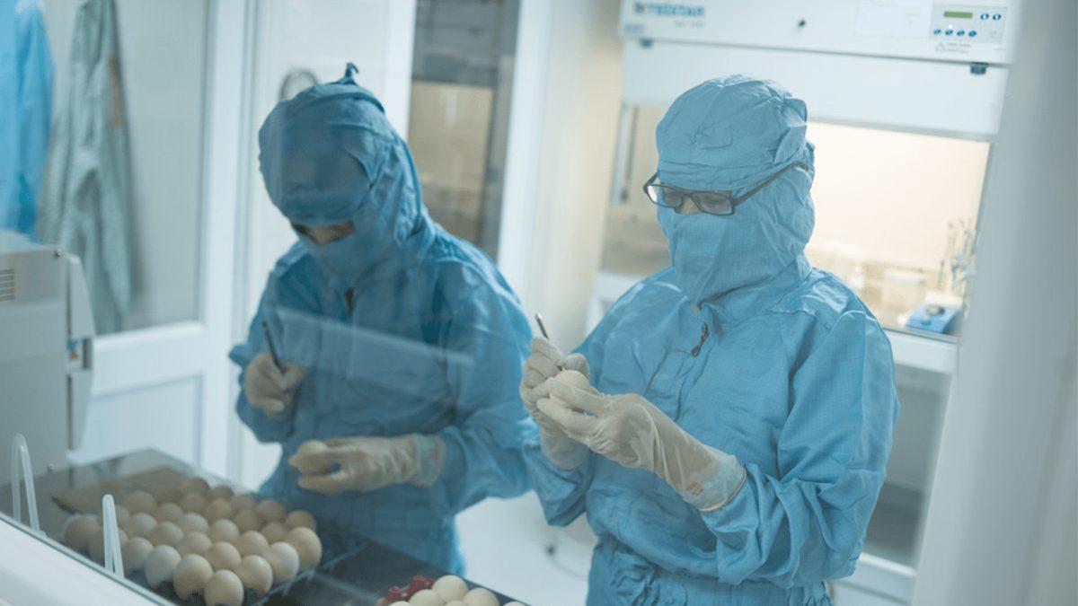 ABD Hükûmetinin, Yerlerini Herkesten Gizlediği Tavuk Çiftliklerinin Amacı Ne?