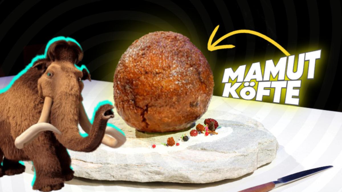 Yakın Gelecekte "Kaplan Burger", "Mamut Köfte" Yemek İster miydiniz? Vegan Bir Türk Sayesinde Mümkün Olmak Üzere!