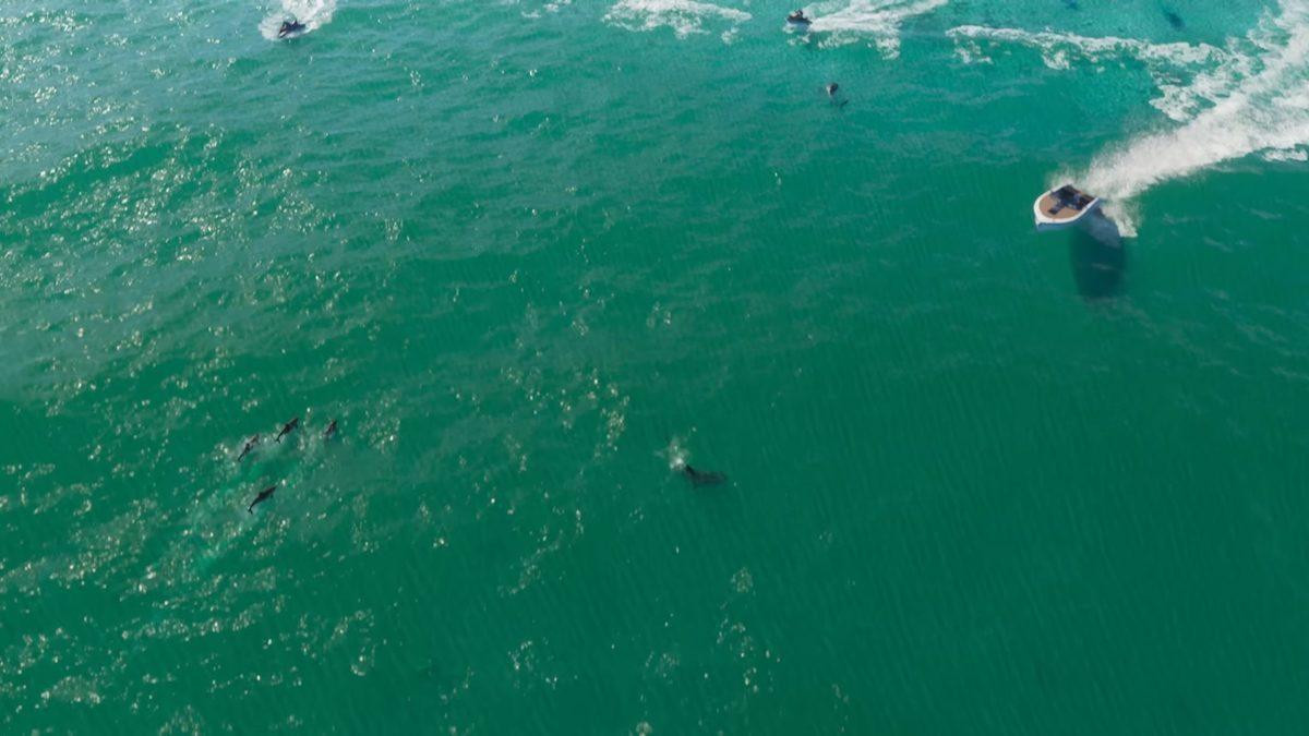 GTA Turk City’yi Yapan Arkadaşa GTA 6 Fragmanını İncelettik! Düşünceleri Neler?