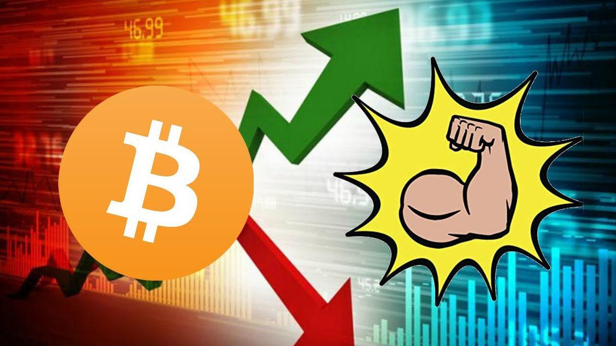 Ya Batıcaz Ya Çıkıcaz: Bitcoin’e Kıyasla Altcoin’lerin Fiyat Hareketi Neden Çok Sert ve Değişkendir?