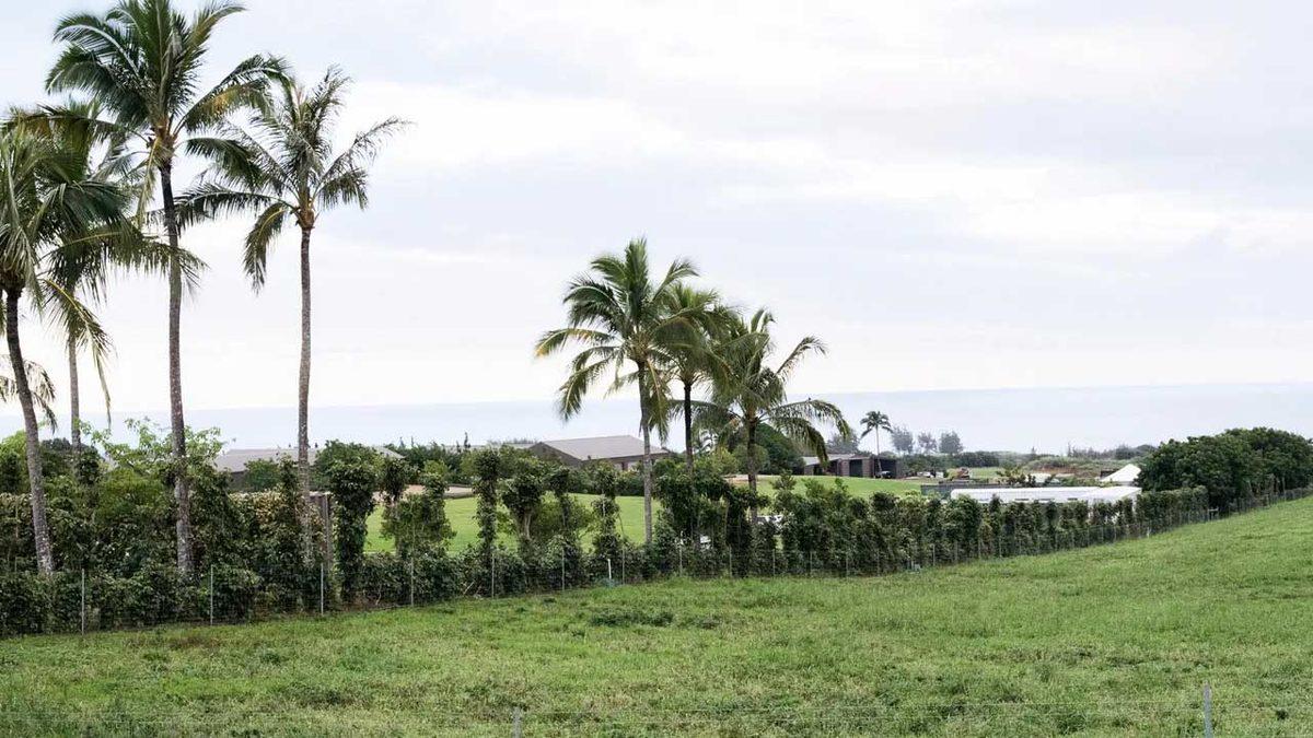 Mark Zuckerberg, Okyanusun Ortasına Kıyamet Sonrası Dünyada Bile Hayatta Kalabilecek Özel Bir Malikâne İnşa Ettiriyor