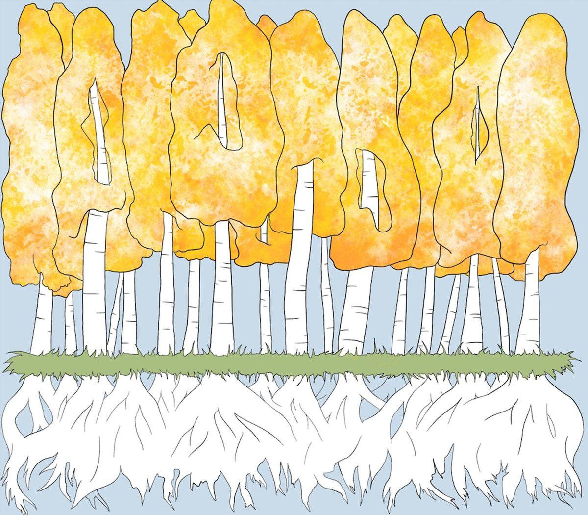 Dünyadaki En Yaşlı Organizma Olan 