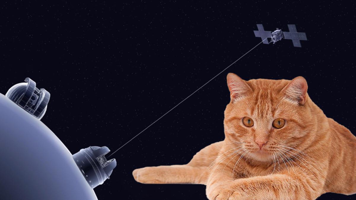 NASA İlk Kez Uzaydan Dünya’ya Lazer ile Veri Gönderdi! İşte 31 Milyon Kilometre Uzaklıktan Gönderilen... Kedi Videosu