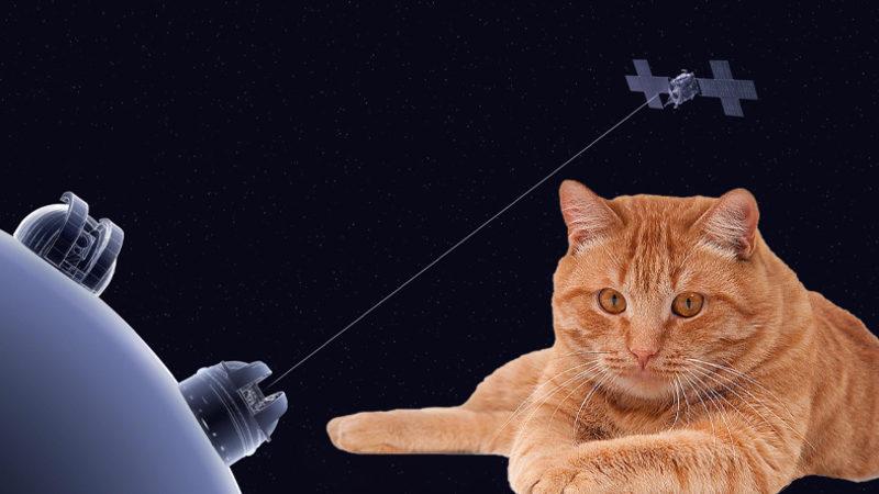 NASA İlk Kez Uzaydan Dünya’ya Lazer ile Veri Gönderdi! İşte 31 Milyon Kilometre Uzaklıktan Gönderilen... Kedi Videosu