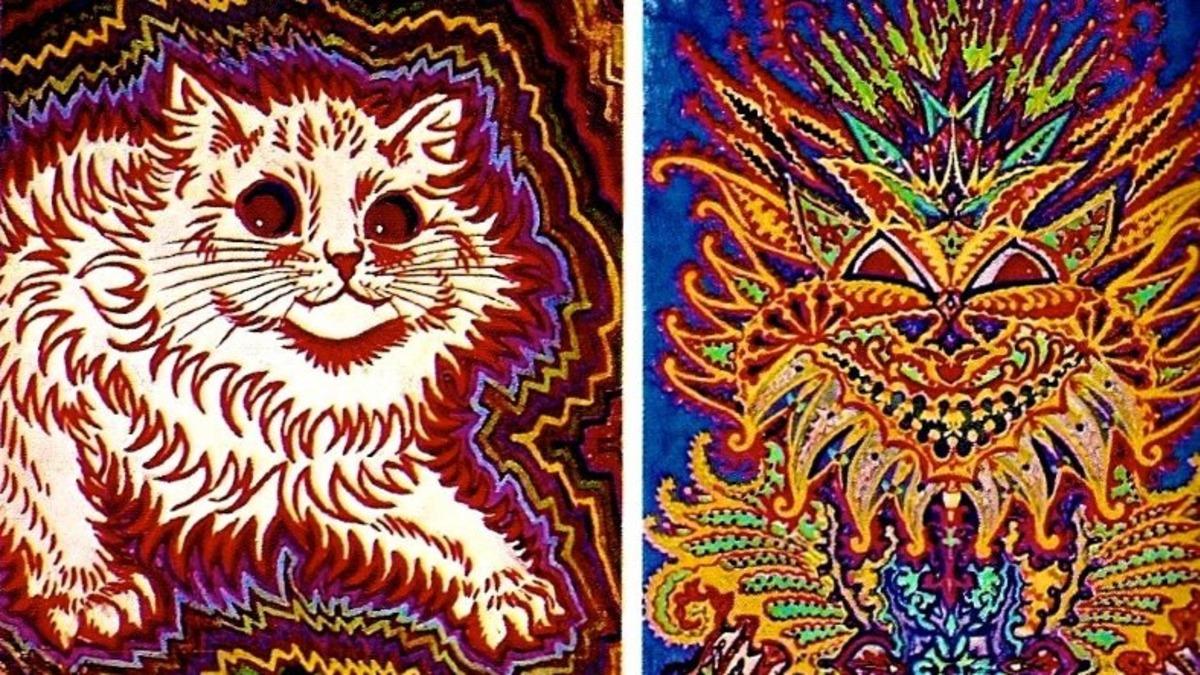 Kediler Gerçekten de Şizofreniye Yakalanma Riskimizi İki Katına mı Çıkarıyor?