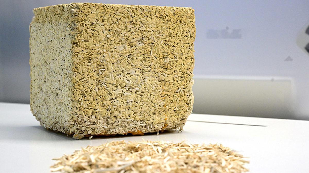 İnşaat Sektörünün Karbon Emisyonu, Kenevir ile Düşürülebilir: Hem de Türkiye’de Üretilen Malzemelerle