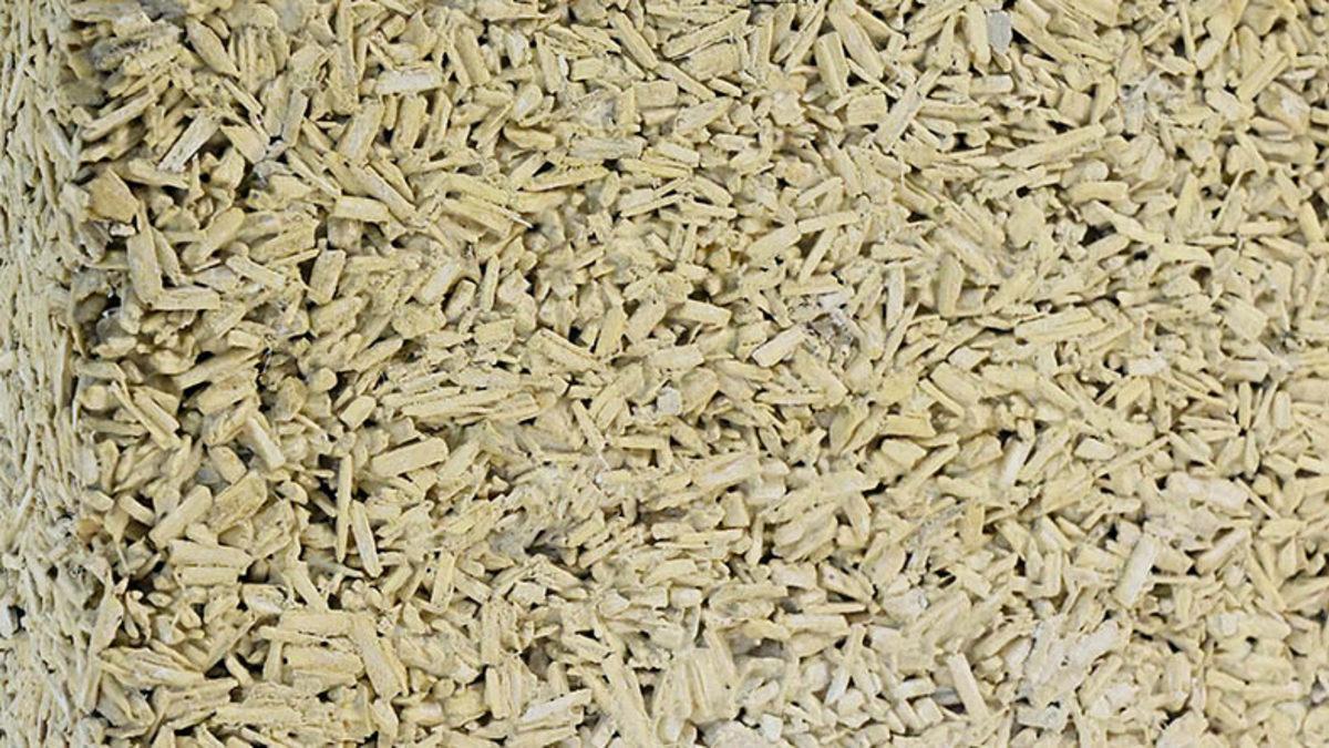 İnşaat Sektörünün Karbon Emisyonu, Kenevir ile Düşürülebilir: Hem de Türkiye’de Üretilen Malzemelerle