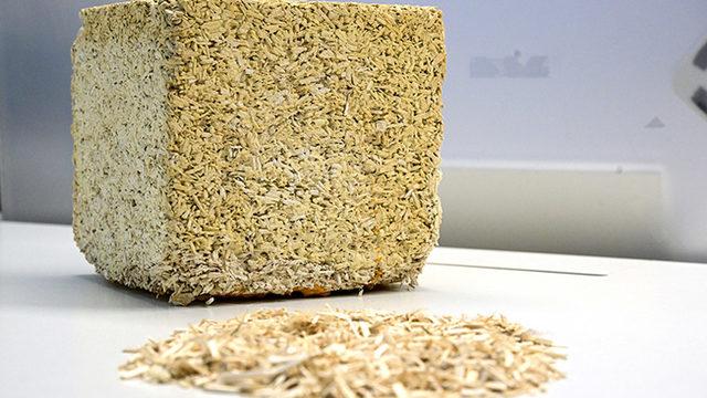 İnşaat Sektörünün Karbon Emisyonu, Kenevir ile Düşürülebilir: Hem de Türkiye’de Üretilen Malzemelerle