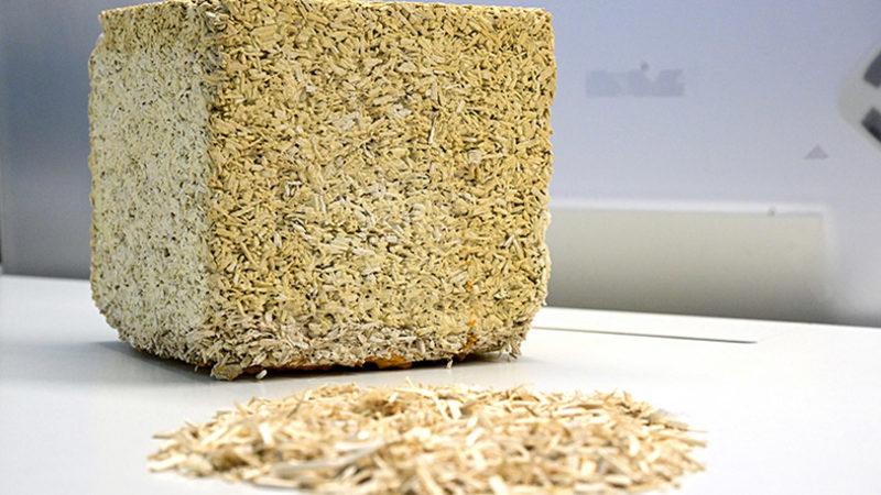 İnşaat Sektörünün Karbon Emisyonu, Kenevir ile Düşürülebilir: Hem de Türkiye’de Üretilen Malzemelerle