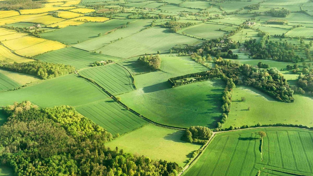 Türkçeden İngilizceye Geçen Bu 20 Kelimeyi Öğrenince 