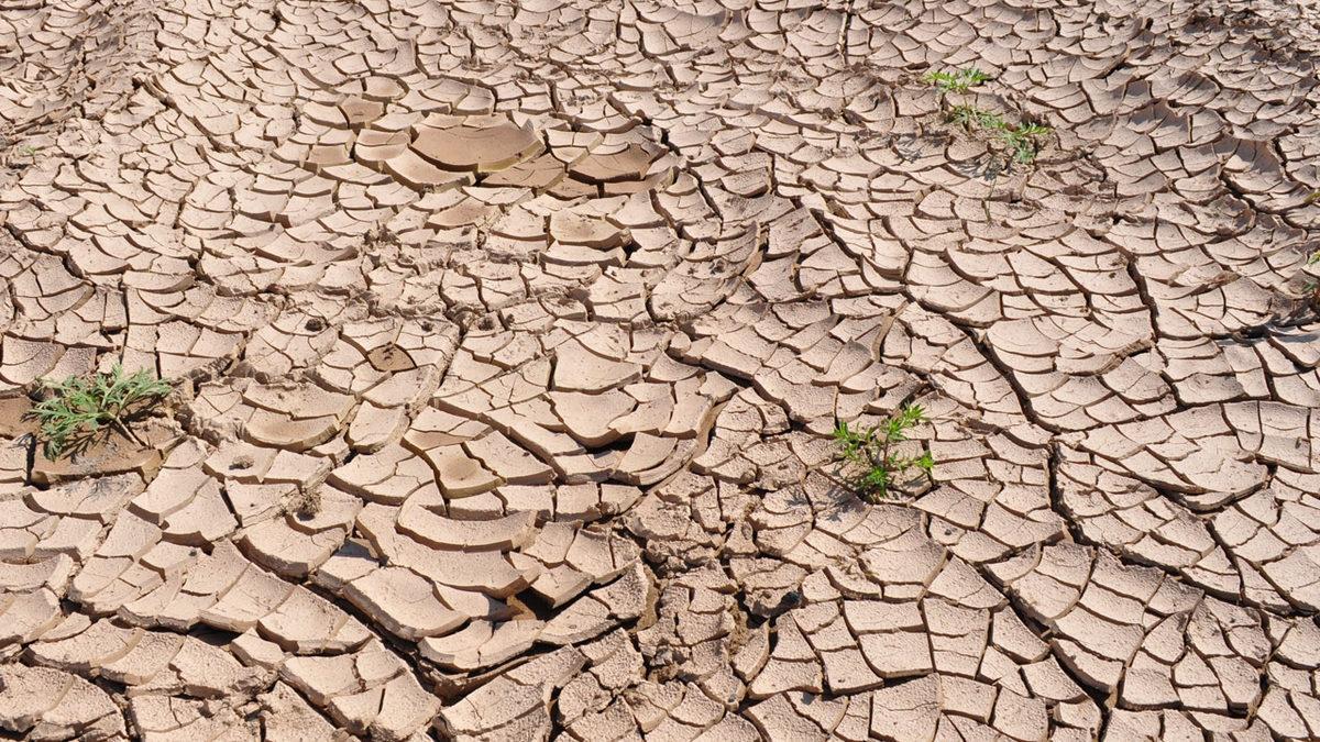 Türkçedeki Bu Nadir Fiilleri ve Anlamlarını Öğrenince 