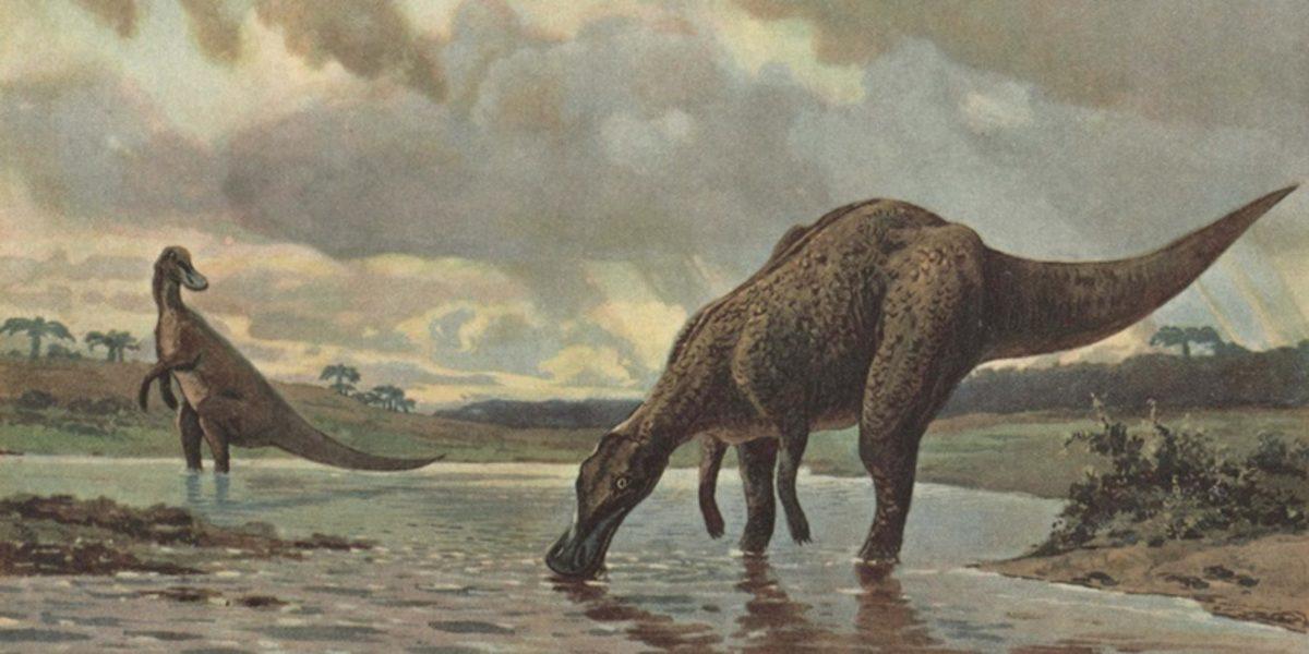 Alaska’da Araştırmaların Seyrini Etkileyecek Dinozor İzleri