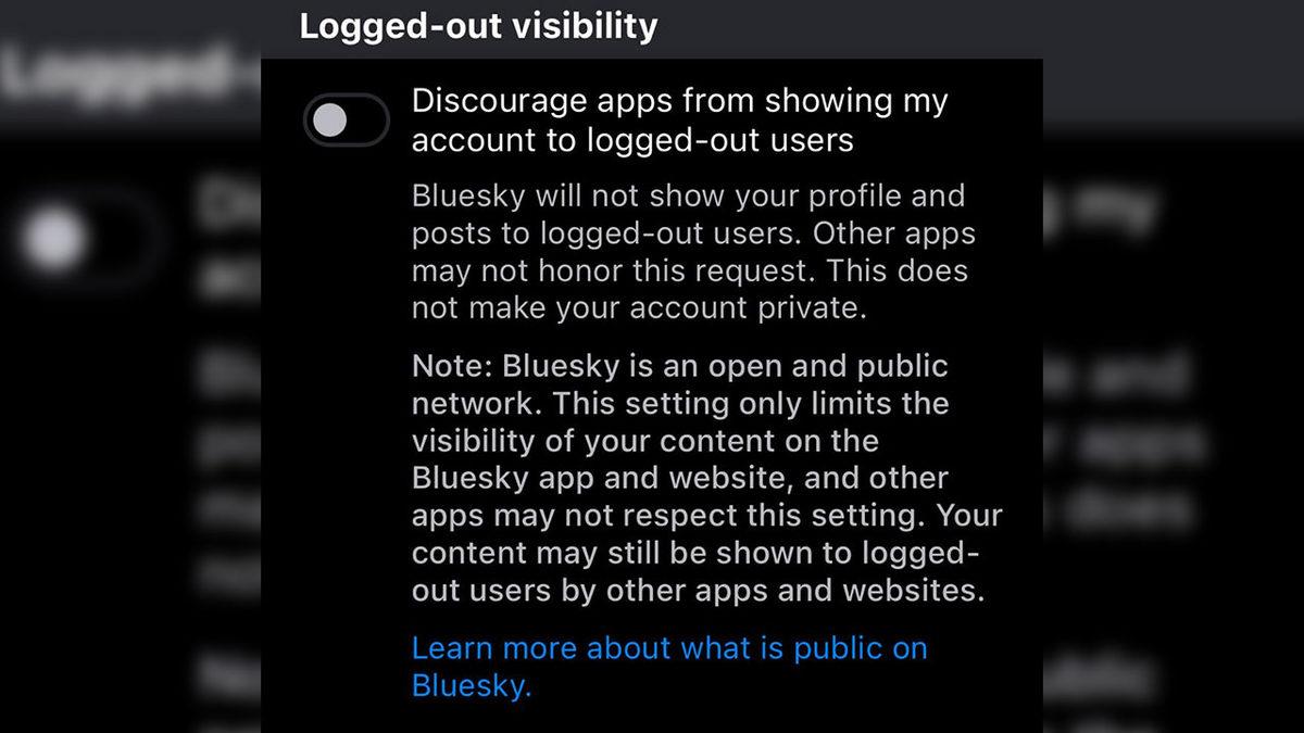 Twitter Kurucusunun Platformu Bluesky, Oturum Açmadan Gönderileri Görmenize İzin Verecek