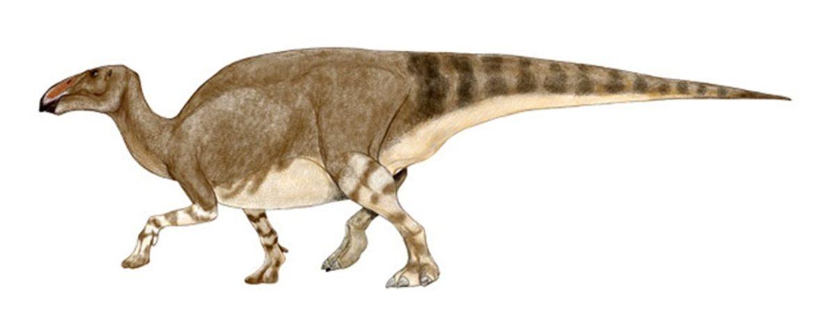 Alaska’da Araştırmaların Seyrini Etkileyecek Dinozor İzleri