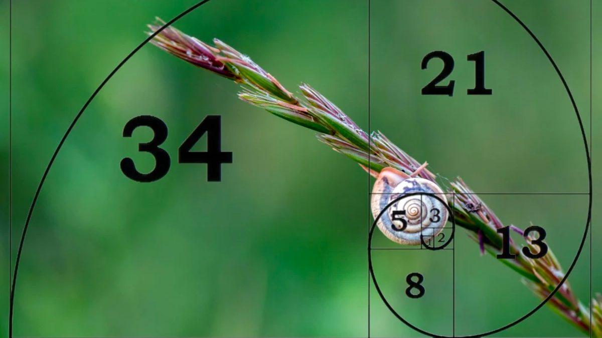 Kafası Basmayanların Şimdi Daha da Basmayacak: Matematik Bir İcat mıdır, Yoksa Zaten Var Olanın Bir Keşfi midir?