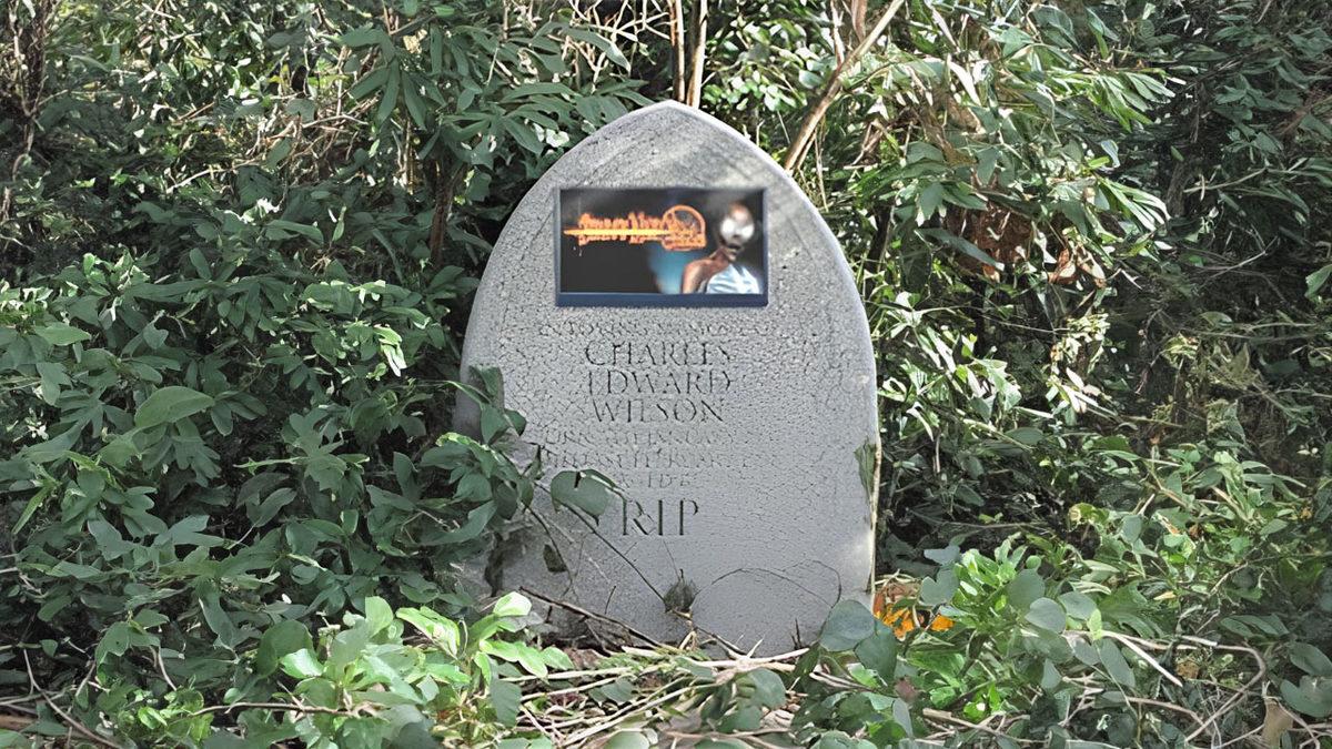 Mortal Kombat, Crazy Taxi Gibi Oyunları Bizlerle Buluşturan 