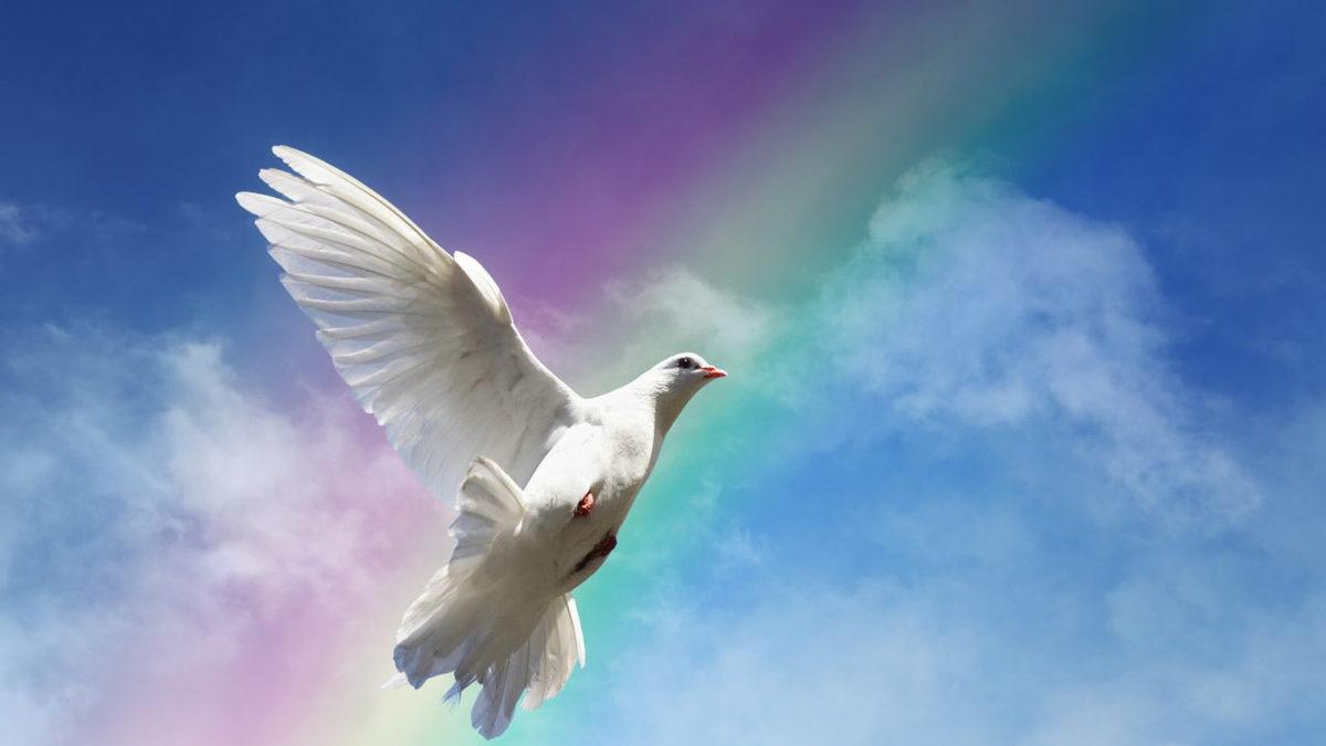 Adalet Deyince Aklınıza Elinde Terazi Tutan Kadın Heykeli Geliyorsa Bilmenizin Şart Olduğu Kavram: Alegori ve Günlük Hayattaki Örnekleri