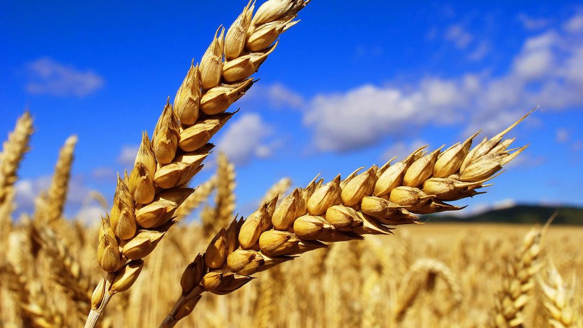 Adalet Deyince Aklınıza Elinde Terazi Tutan Kadın Heykeli Geliyorsa Bilmenizin Şart Olduğu Kavram: Alegori ve Günlük Hayattaki Örnekleri