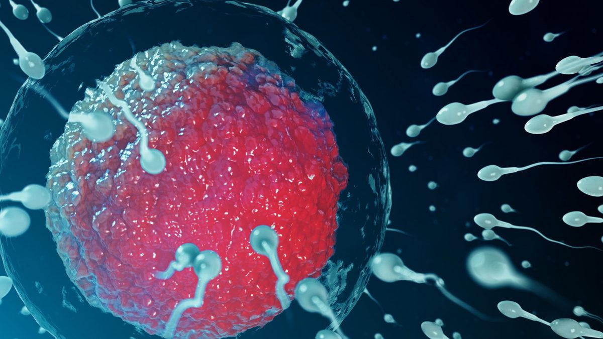 Neden Dünyadaki Lider İsimler Çoğunlukla Erkeklerden Oluşuyor? Kadınların “Sözde Eksikliğinin” Sebebi Aslında Ne?