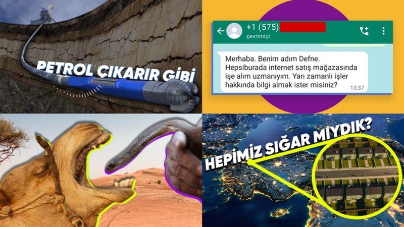 İçerisi Ansiklopedi Gibi: 2023 Yılında Webtekno’da En Çok Okunan 25 İçeriği Derledik!