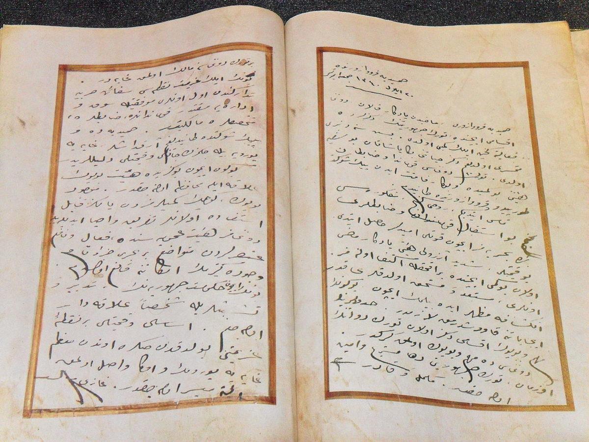 Bildiği 50 Dilden En Çok Türkçeyi Sevdiğini Söyleyen Dahi Profesörün Dilimiz Hakkındaki Övgüleri