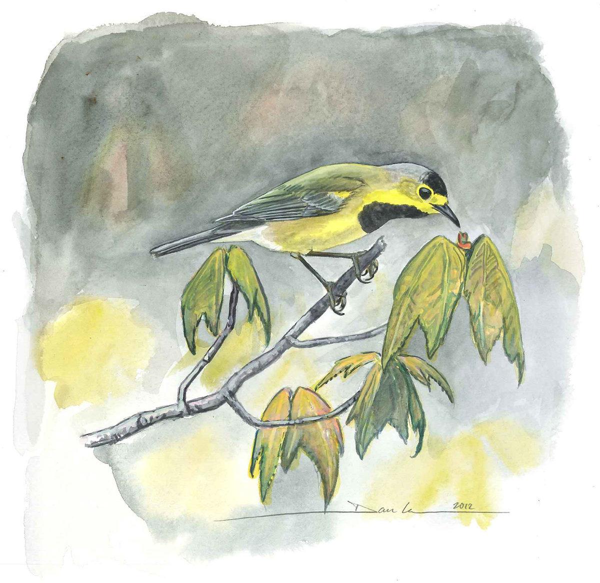 Memeliler, Kuşlar ve Dahası: 2023’te Ne Yazık ki Nesli Tükenen Birbirinden Önemli 21 Hayvan Türü