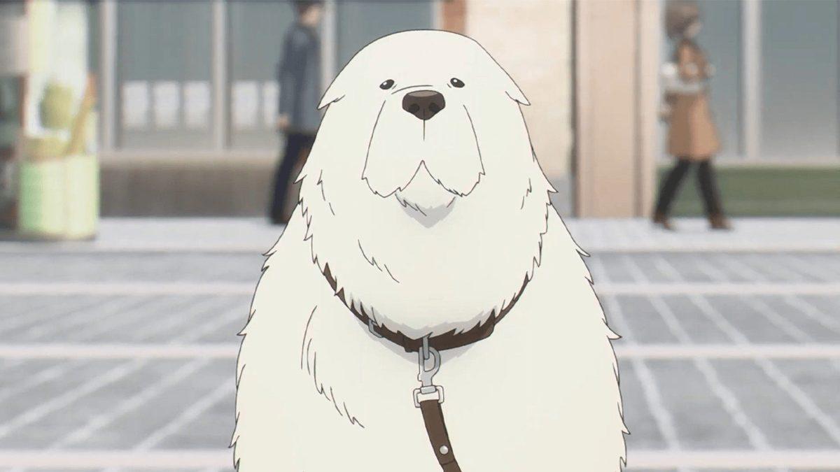 Otakuların Bile Zorlanacağı Bu Testte, Tek Karesinden Animeleri Tanıyabilecek misin?