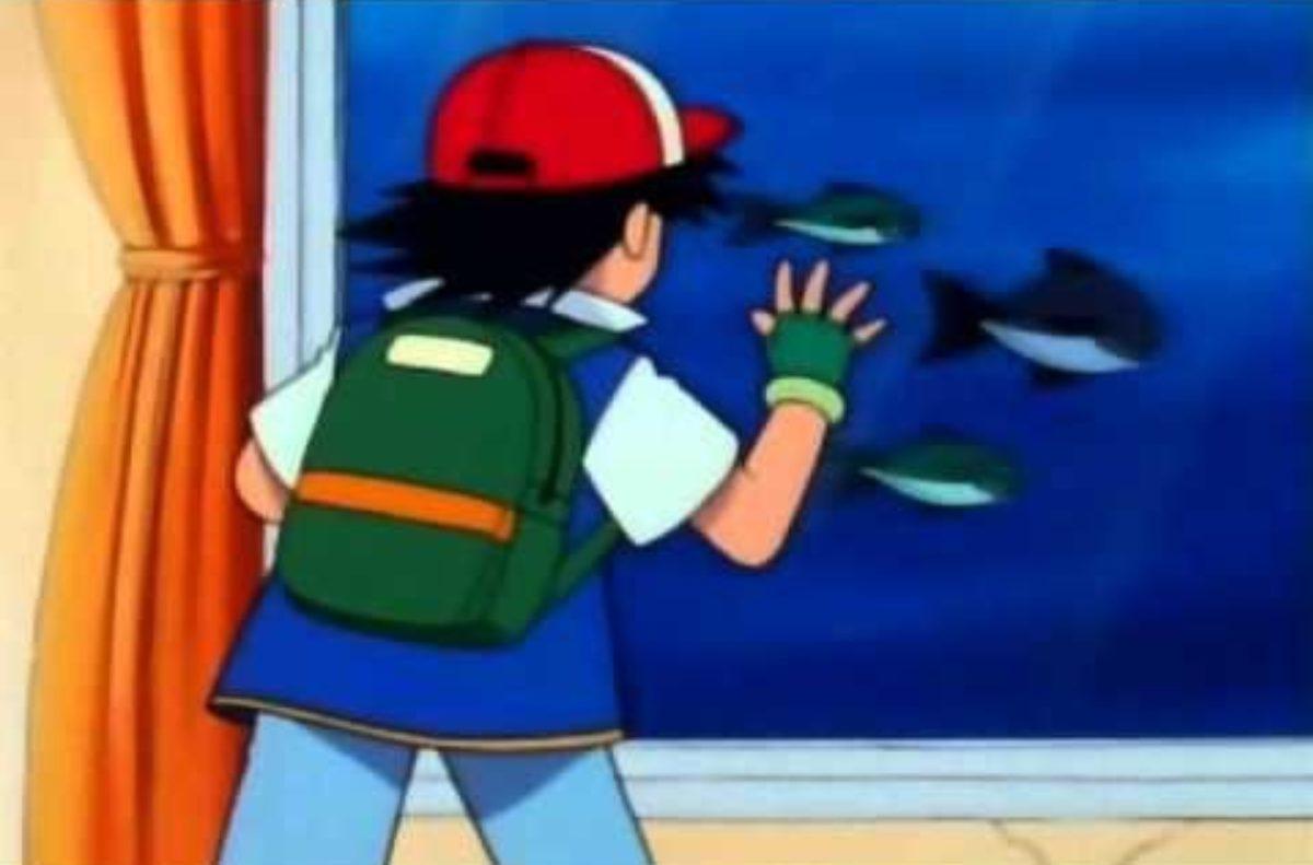 Pokemon Evreninde Bizim Bildiğimiz Normal Hayvanlar da Var mıydı?