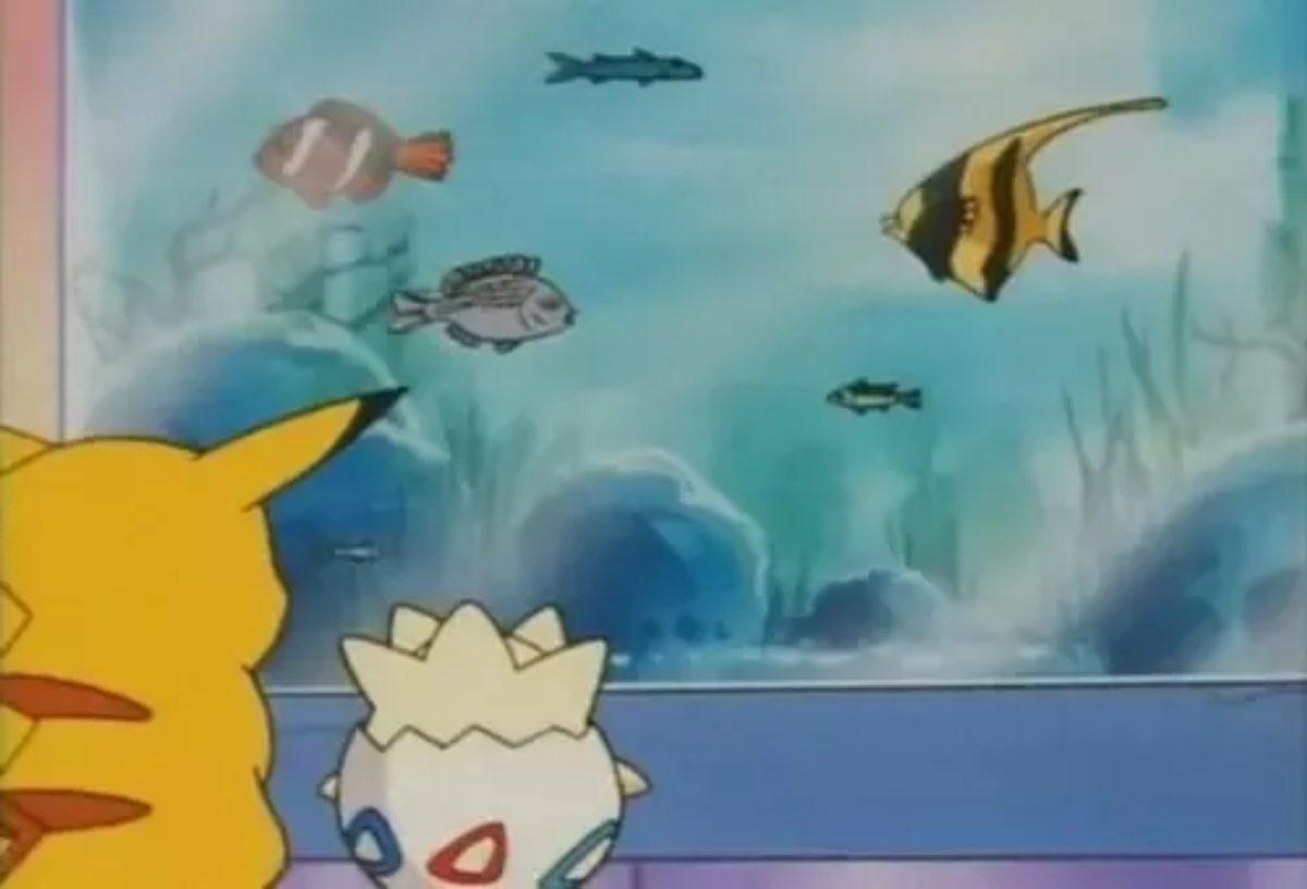 Pokemon Evreninde Bizim Bildiğimiz Normal Hayvanlar da Var mıydı?