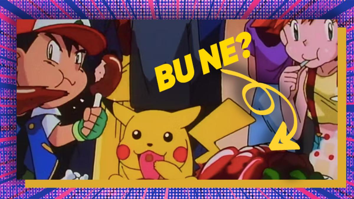 Pokemon Evreninde Bizim Bildiğimiz Normal Hayvanlar da Var mıydı?