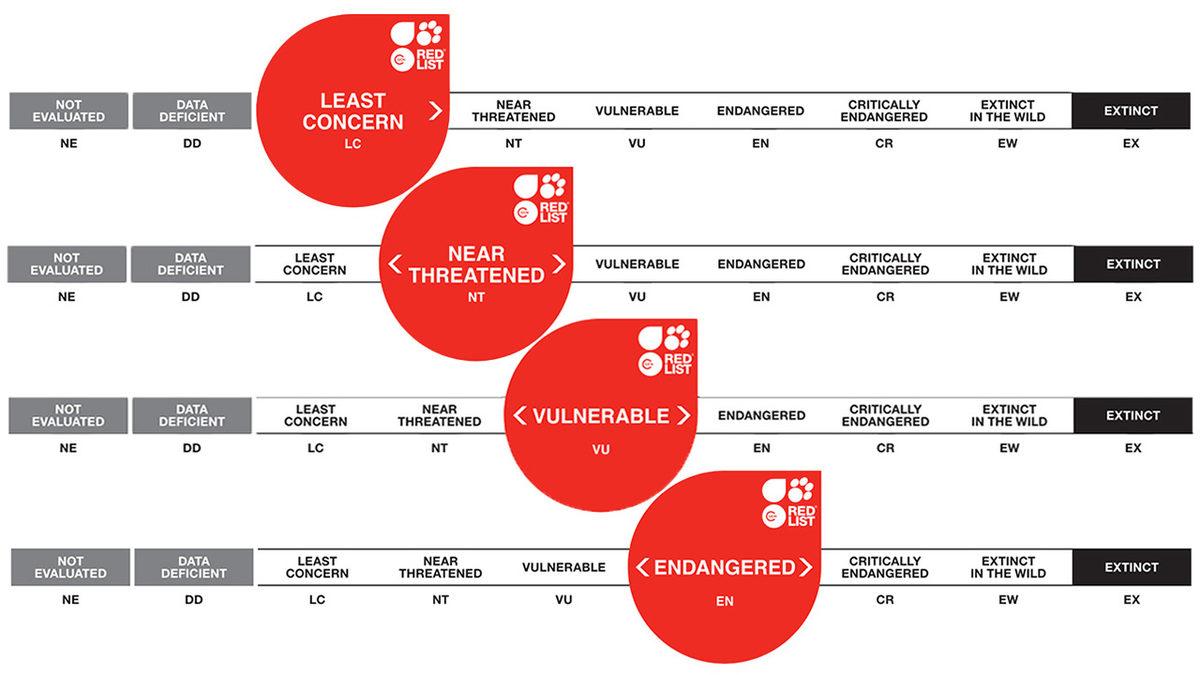 2023’te Nesli Tükenmek Üzereyken Koruma Altına Alıp Çoğaltabildiğimiz Canlı Türleri
