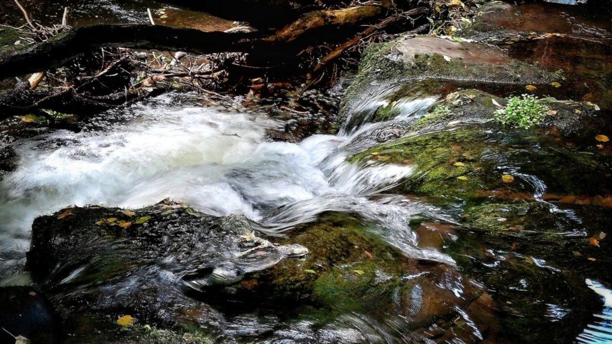 Efsane Makine Akıllı Telefona Dönüştü: Kodak Ektra