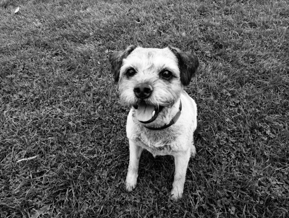 Efsane Makine Akıllı Telefona Dönüştü: Kodak Ektra