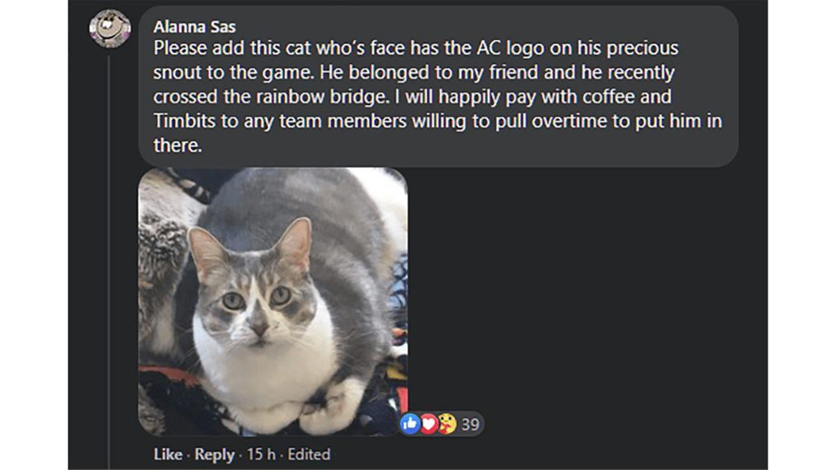 Oyun Şirketlerinin Oyunlara Eklediği, Gözden Birkaç Damla Yaş Akıtacak Jestler: Bir Türk Oyuncuya da Jest Var