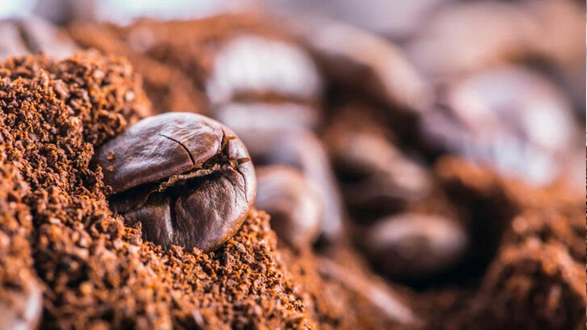 Torunlarımızın Sofralarında Olamayacak Gıdalar: Sadece Daha Sıcak Değil, Daha Tatsız Tuzsuz Bir Dünya Bizi Bekliyor!