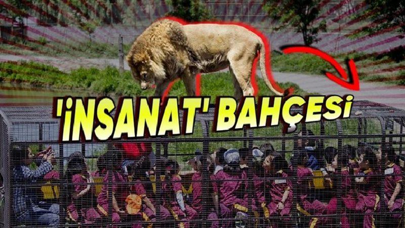 Kafeslerde Hayvanların Değil İnsanların Olduğu Bu Hayvanat Bahçesini Görünce "Bu İşte Bir Terslik Var!" Diyeceksiniz