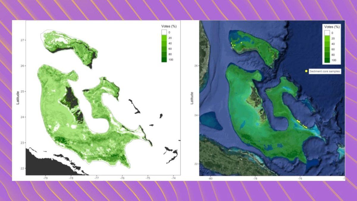 Ne Balina Ne de Dinozor: Dünyanın En Büyük Canlısı, Denizin Altında Yaşıyor ve 4.500 Yaşında!