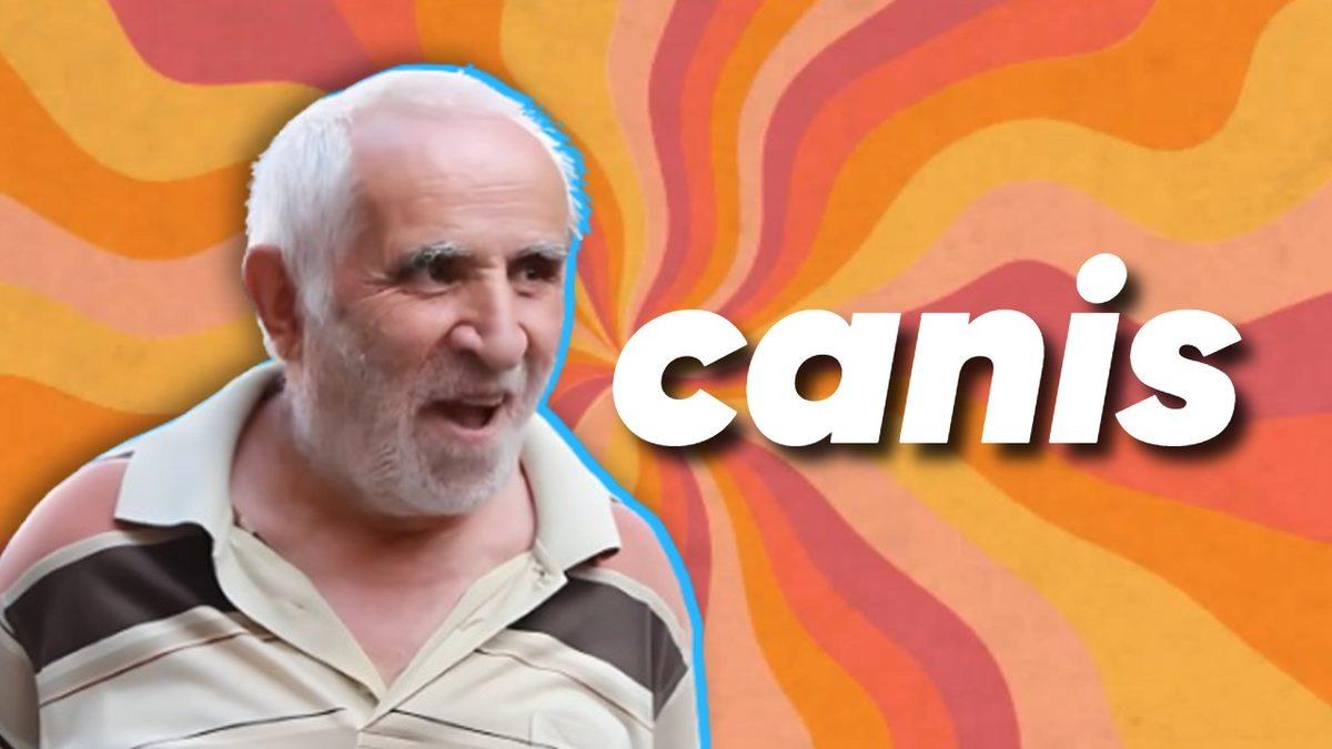 Bu Testte Hangi Kelimenin Hangi Dile Ait Olduğunu Bulabilecek misin? (5’in Üstüne Çıkan, Dil Bilimci Ünvanı Almalı)