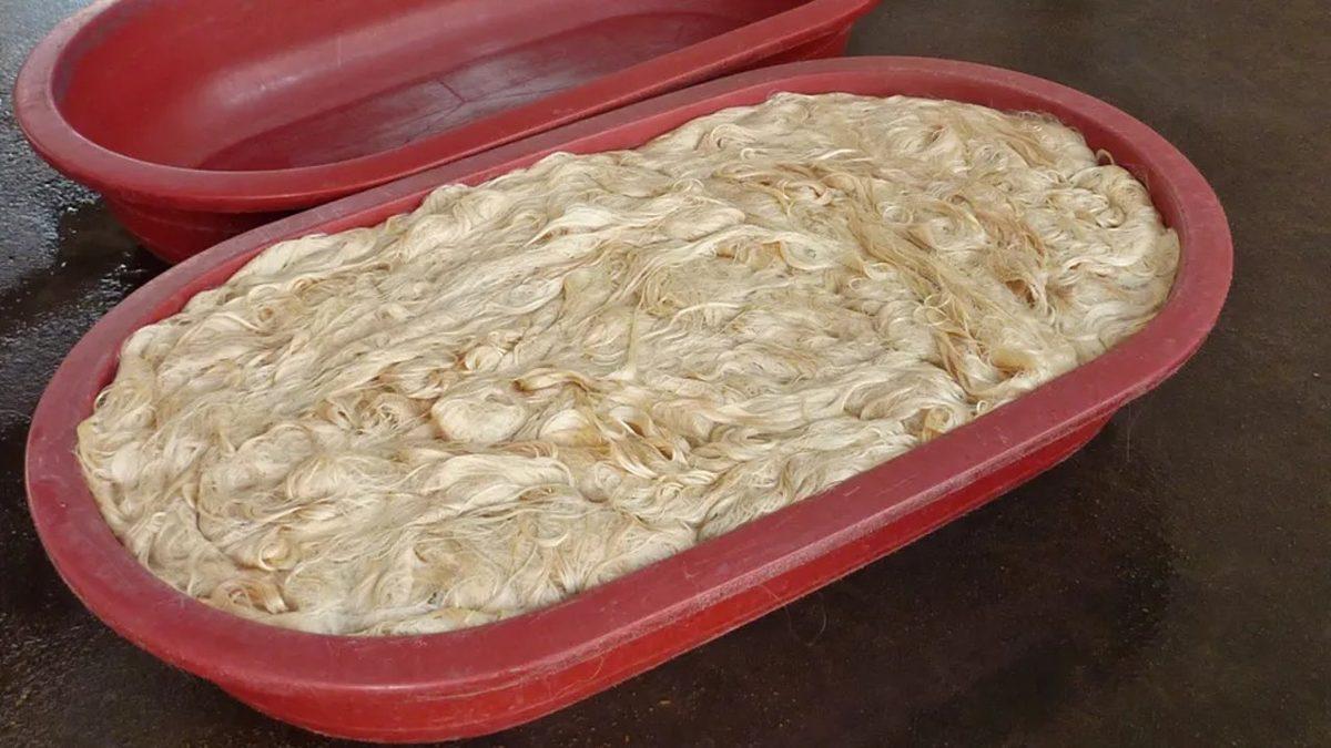 Dikkat, Mideniz Kalkabilir: Peruklardaki Saçların Nereden Geldiğini Öğrenince Bir Daha Onlara Dokunmak Bile İstemeyeceksiniz!