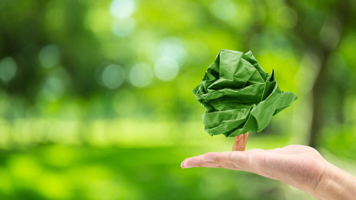 Yeşil Pazarlama (Green Marketing) Nedir? Nasıl Yapılır?