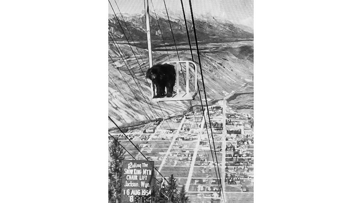 Eski Güvenlik Önlemlerinin Ne Kadar Korkunç Olduğunu Görünce Bu Fotoğraflara İnanmak İstemeyeceksiniz